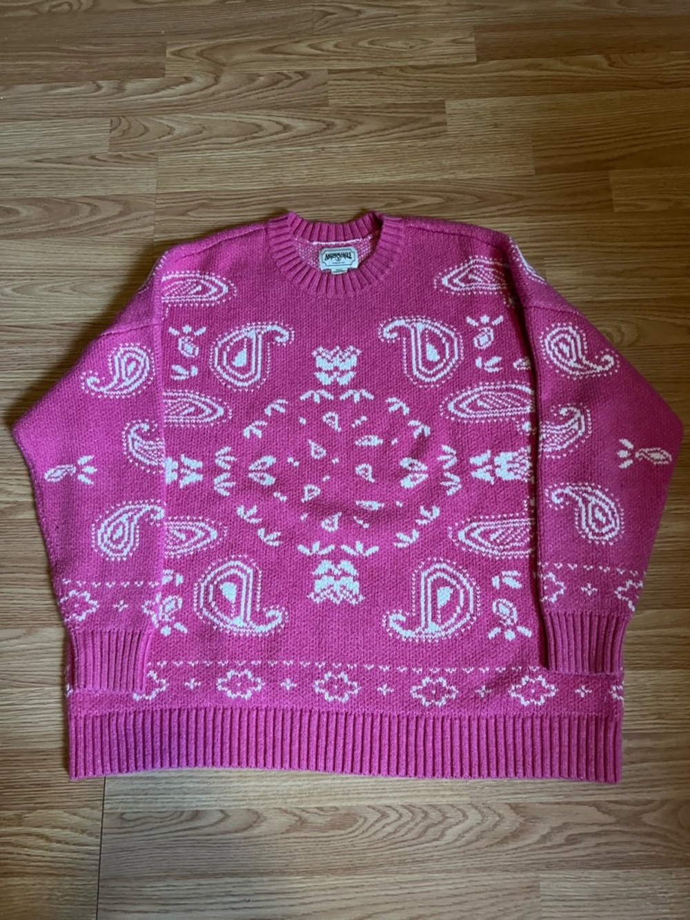 American Eagle Outfitters Hot Pink Crewneck Sweater